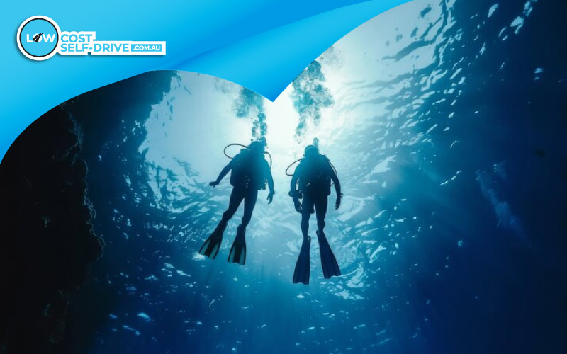 group of friends snorkelling or freediving underwater, travelling with friends, July 2024, Australia