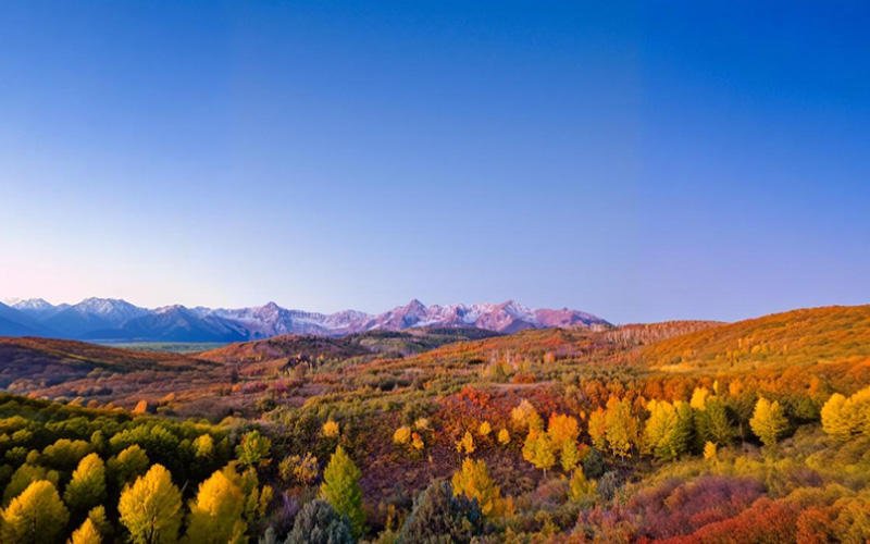 Mount Buffalo National Park during autumn, Australian nature trip, January 2024, Australia